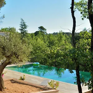 Sous Les Oliviers - Jacuzzi - De Standing Tout-equipes 5*, Saint-Maximin Frankreich